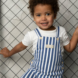 Max Stripe Overall Set - Blue