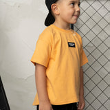 Slade Scoop Tee - Clay