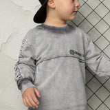 Taylan Detailed Crew - Ash