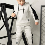 Leo Elevated Hoodie - Pebble