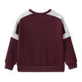 Cody CS Crew - Plum