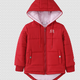 Scarlett Detailed Hooded Puff Jacket